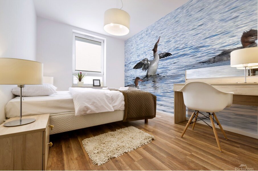 Bird Photography    Mural print