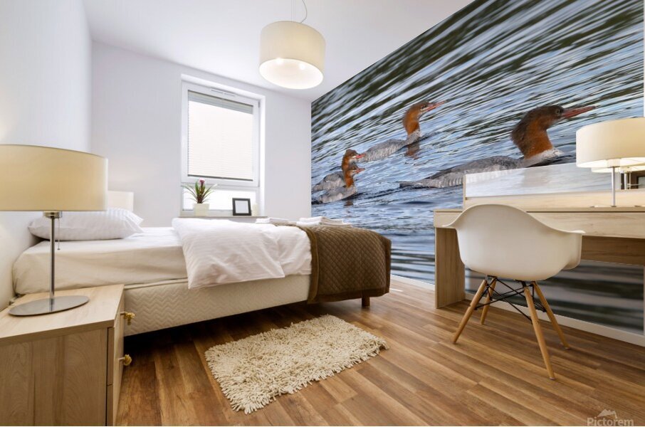 Bird Photography    Mural print