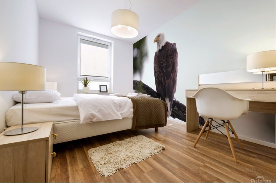 Bird Photography   Mural print