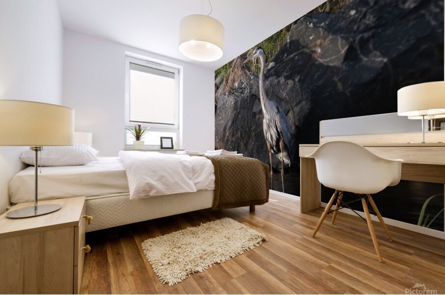 Bird Photography    Mural print
