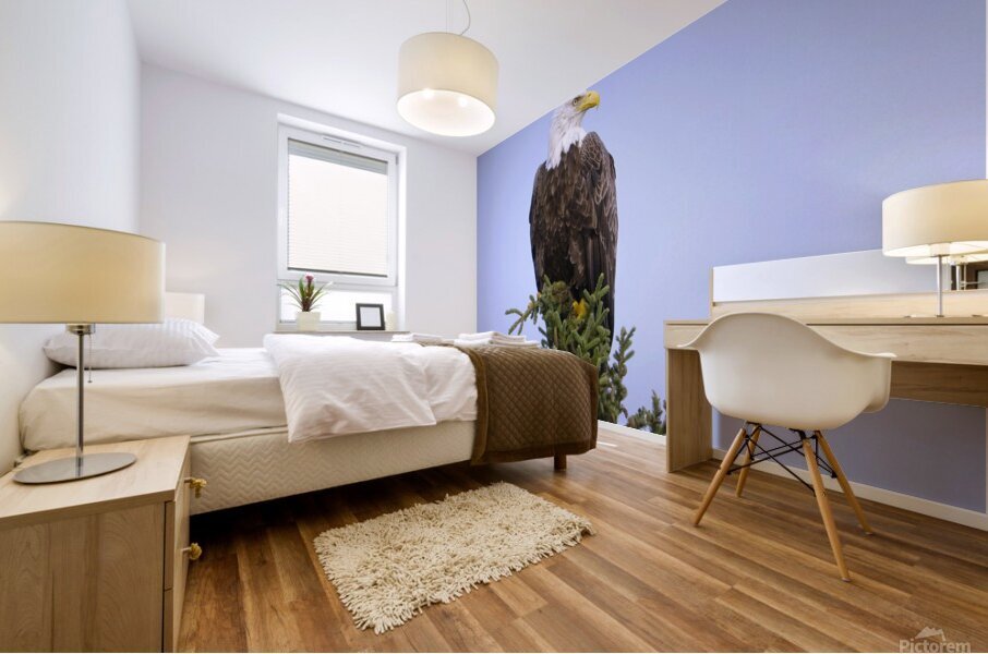 Bird Photography    Mural print