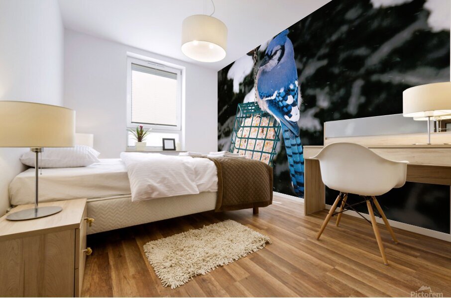 Bird Photography    Mural print