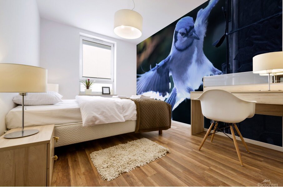 Bird Photography    Mural print
