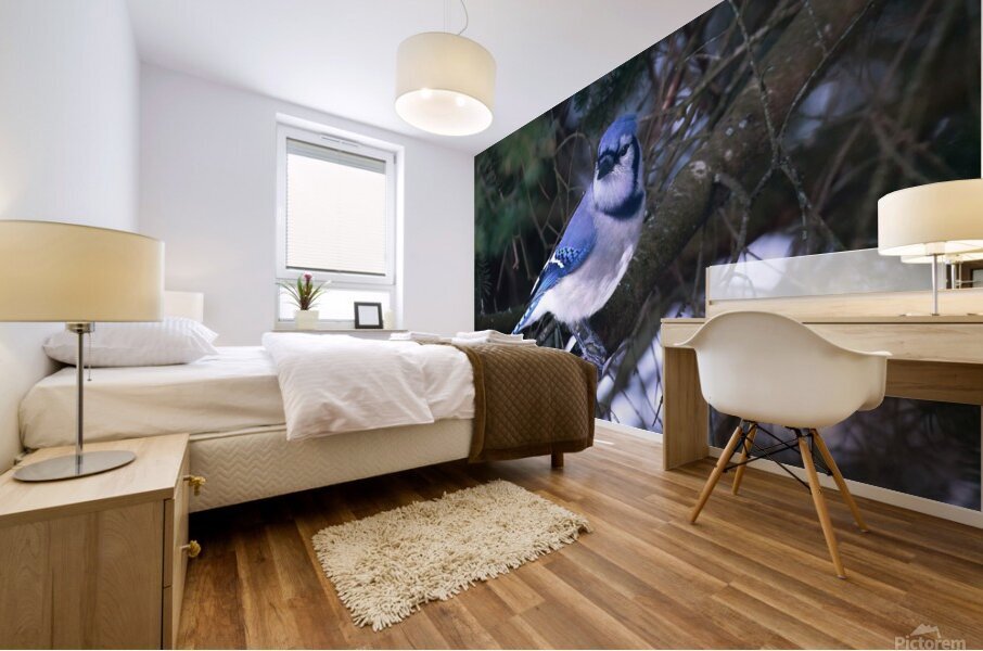 Bird Photography    Mural print