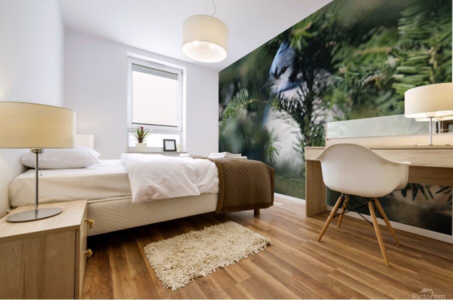Bird Photography    Mural print