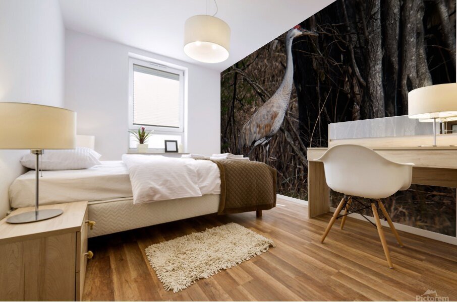 Bird Photography    Mural print