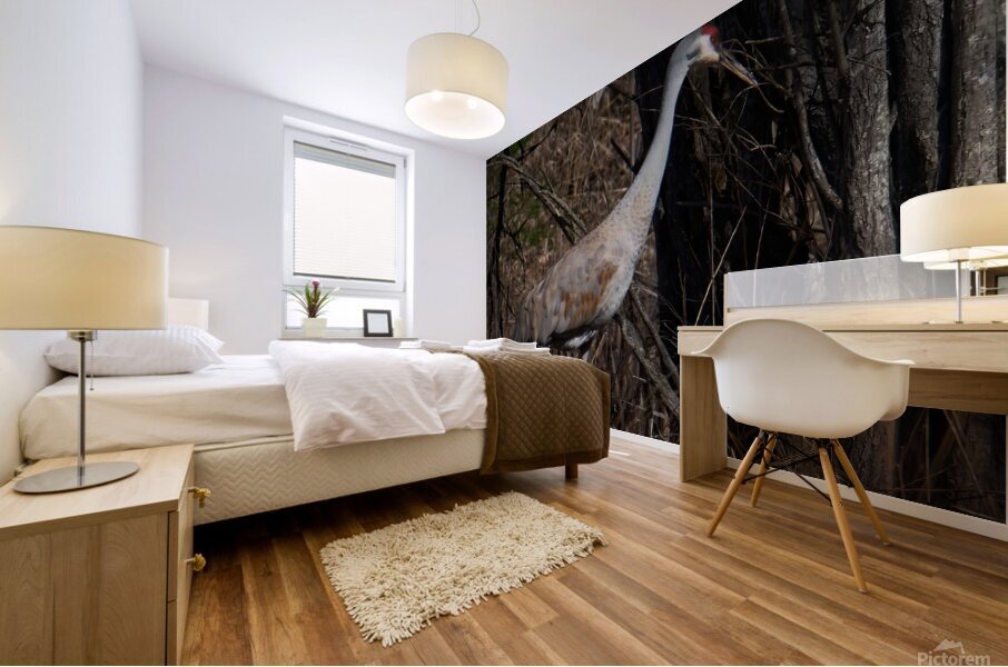 Bird Photography    Mural print
