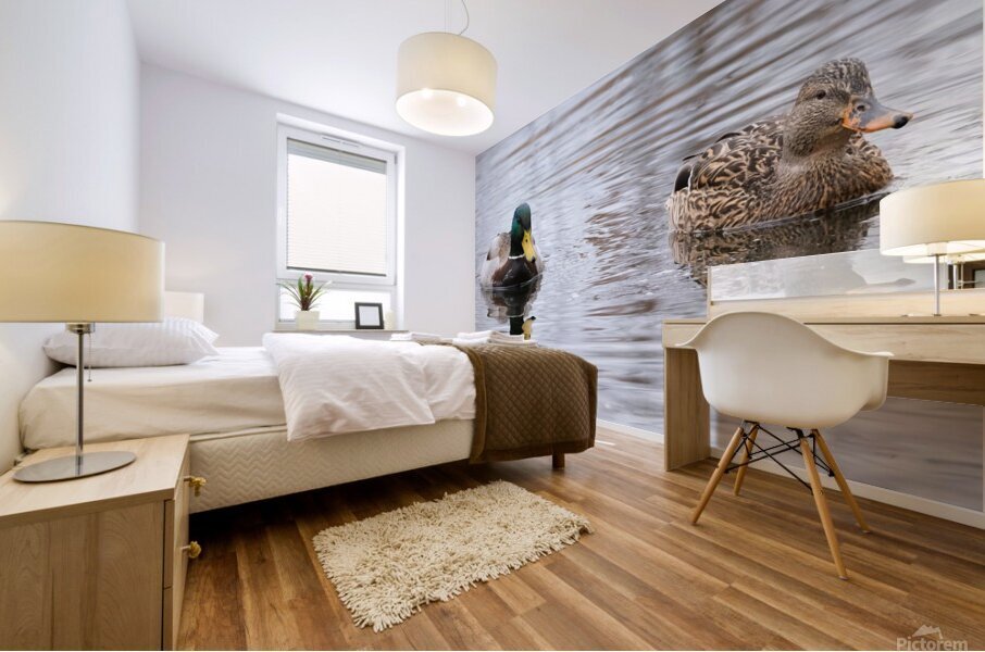 Bird Photography    Mural print