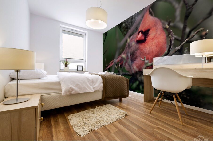 Bird Photography    Mural print