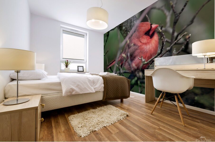 Bird Photography    Mural print