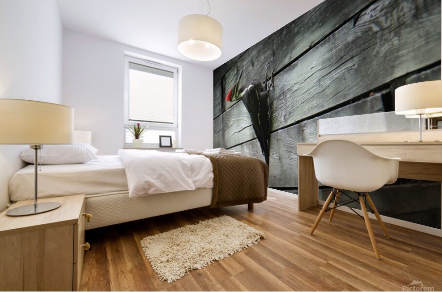 Bird Photography    Mural print