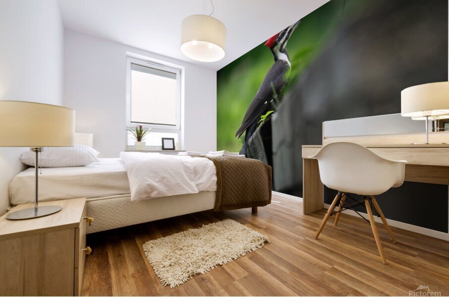 Bird Photography    Mural print