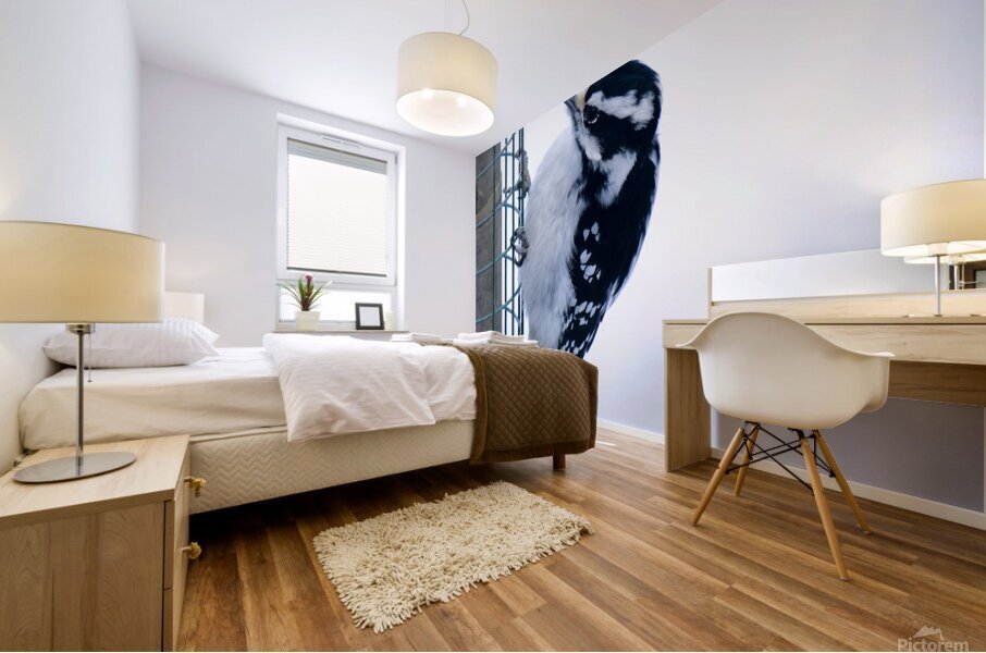 Bird Photography    Mural print