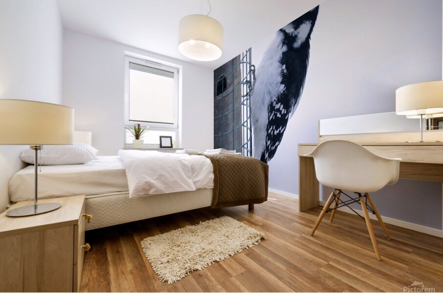 Bird Photography    Mural print