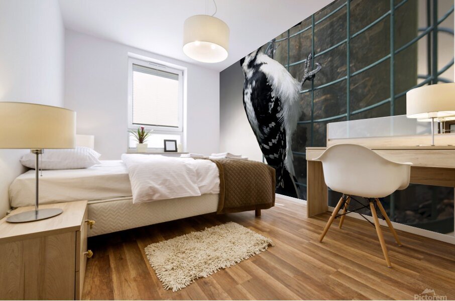 Bird Photography    Mural print