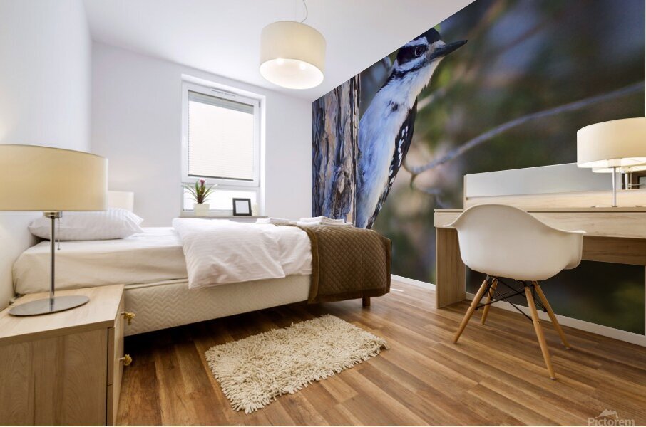 Bird Photography    Mural print
