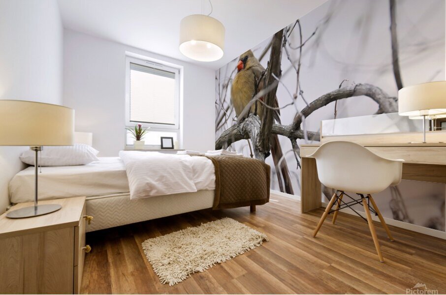Bird Photography    Mural print