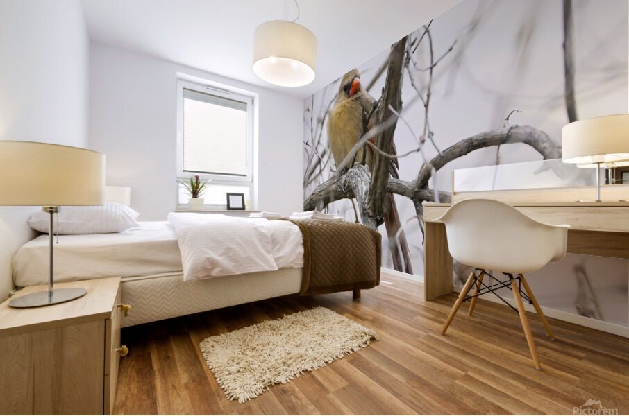 Bird Photography    Mural print