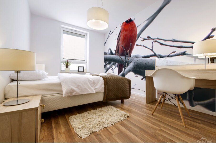 Bird Photography    Mural print