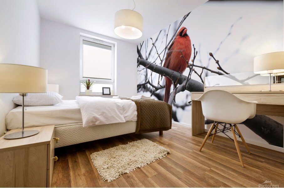 Bird Photography    Mural print