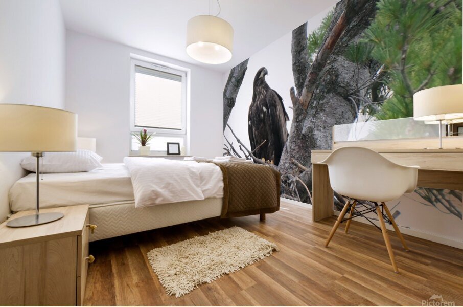Bird Photography    Mural print