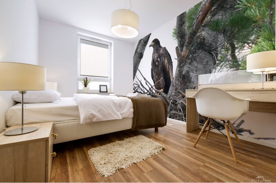 Bird Photography    Mural print