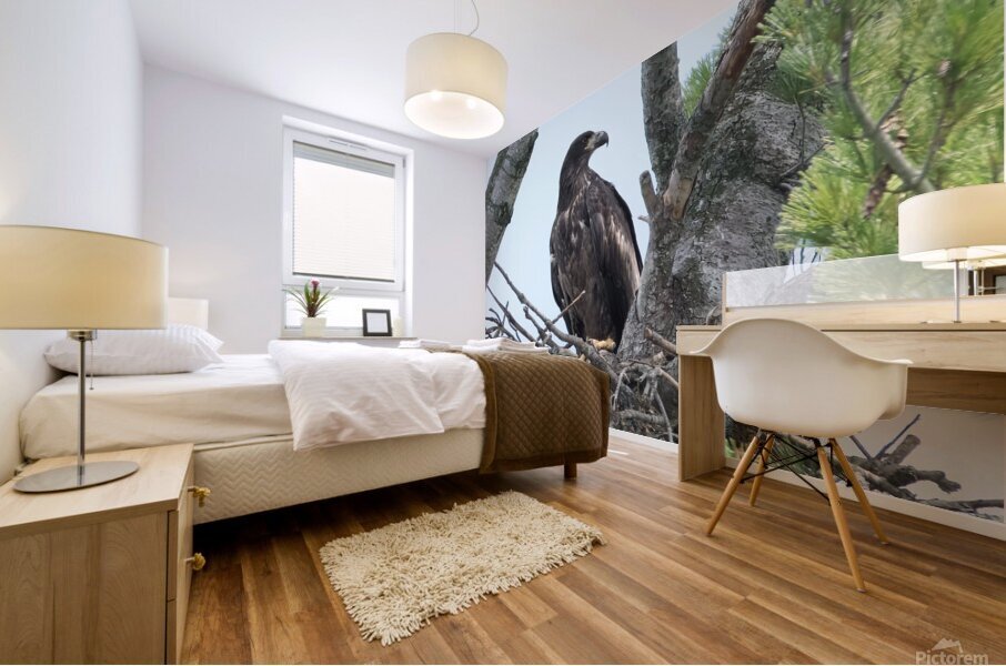 Bird Photography    Mural print