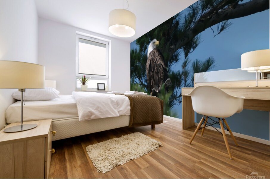 Bird Photography    Mural print