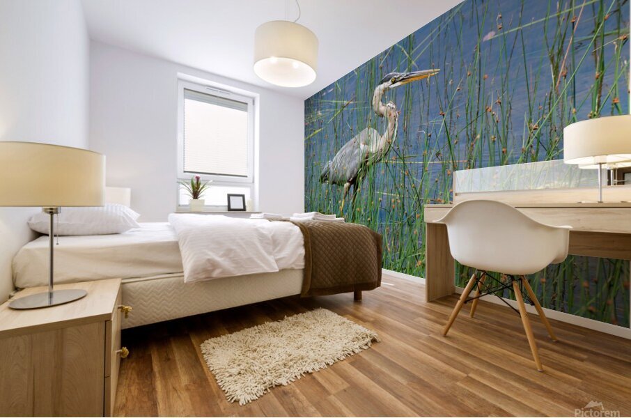 Bird Photography    Mural print