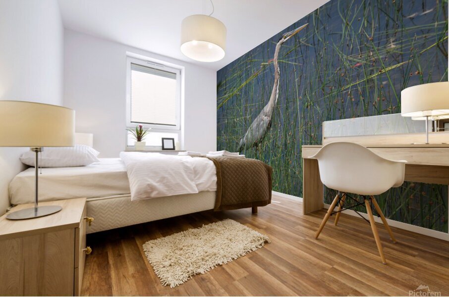 Bird Photography    Mural print