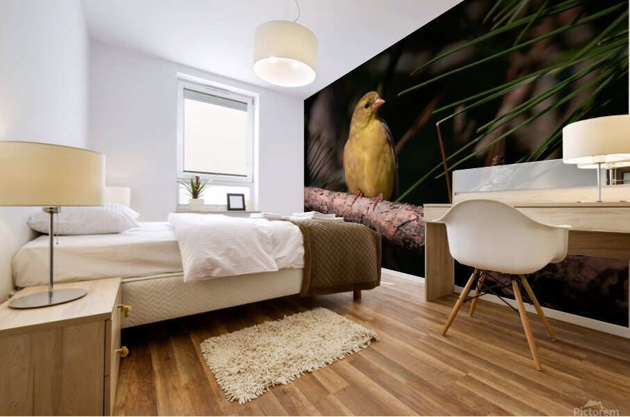Bird Photography    Mural print