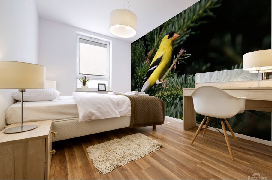 Bird Photography    Mural print