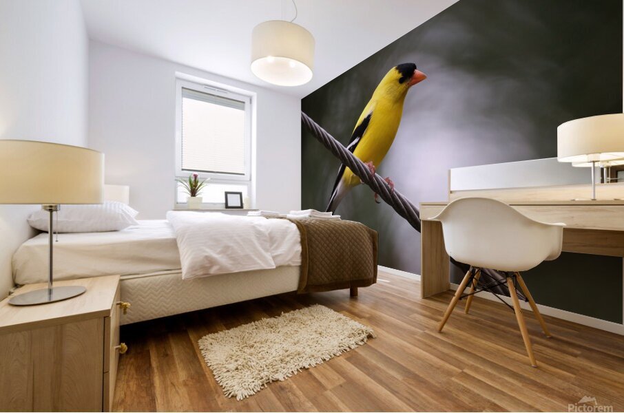 Bird Photography    Mural print