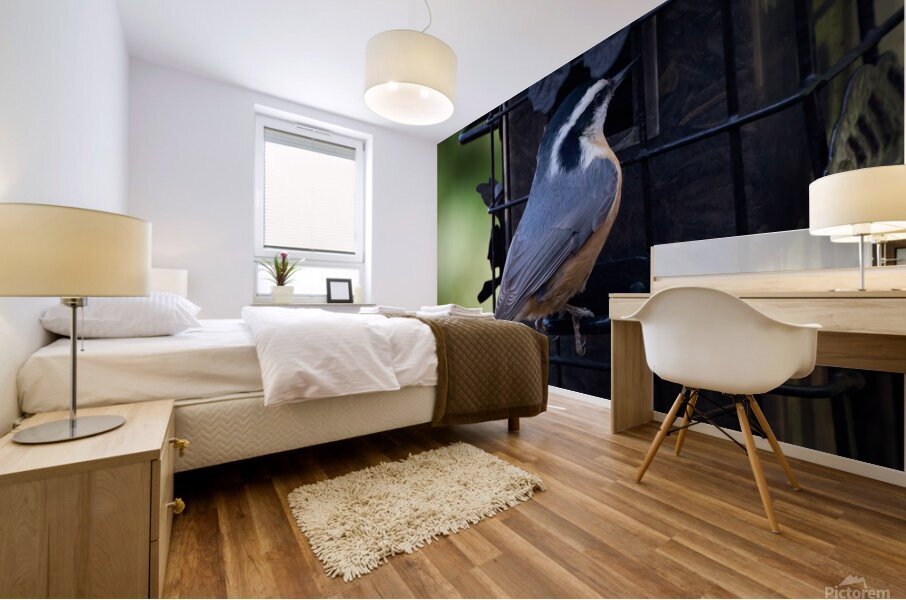 Bird Photography    Mural print