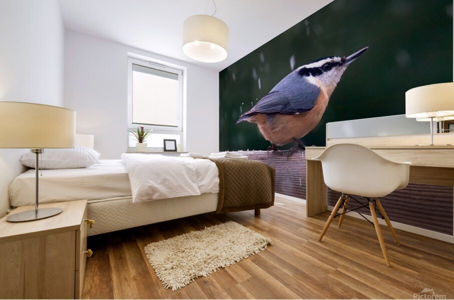 Bird Photography    Mural print