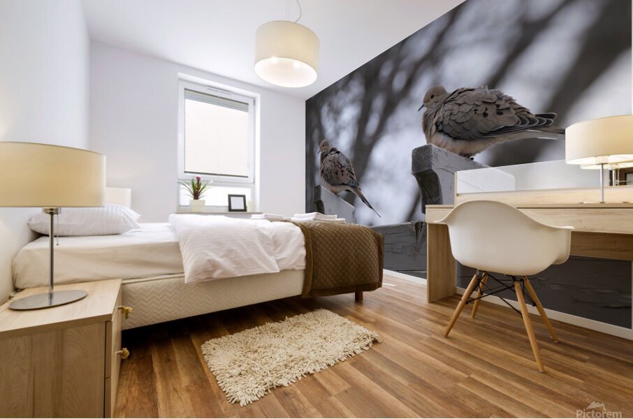Bird Photography    Mural print