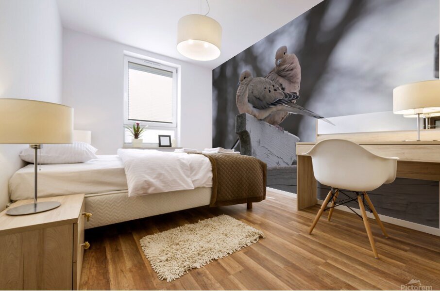 Bird Photography    Mural print