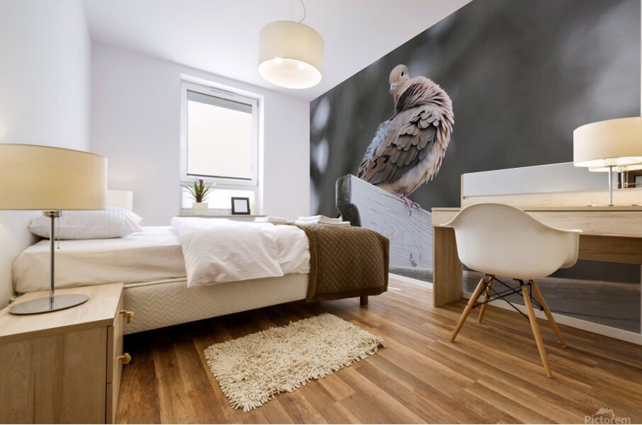 Bird Photography    Mural print