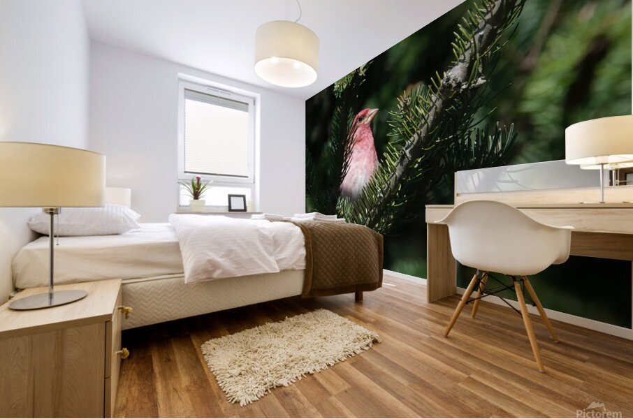 Bird Photography    Mural print