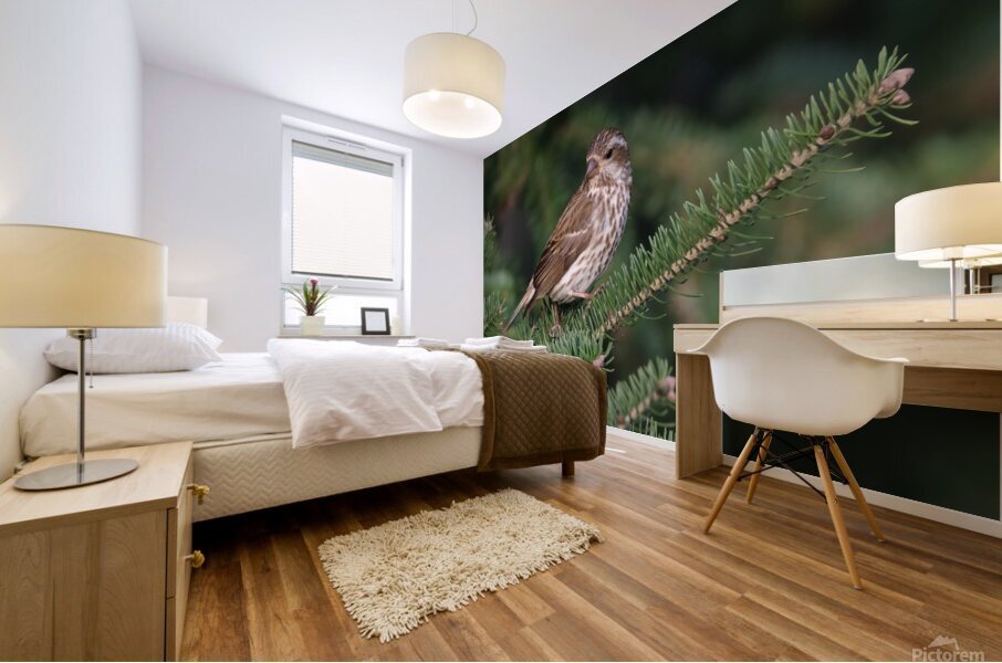 Bird Photography    Mural print