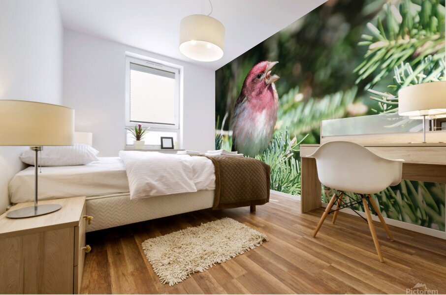 Bird Photography    Mural print