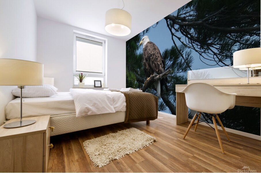 Bird Photography    Mural print