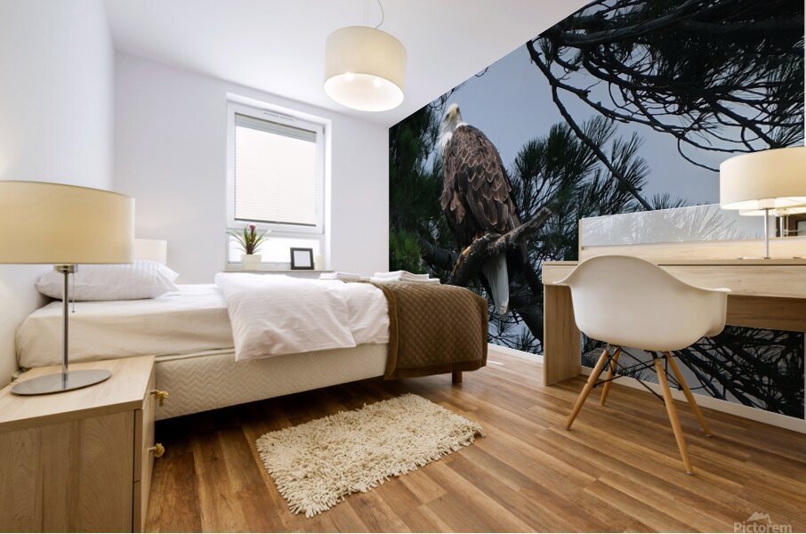 Bird Photography    Mural print