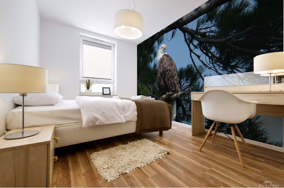 Bird Photography    Mural print