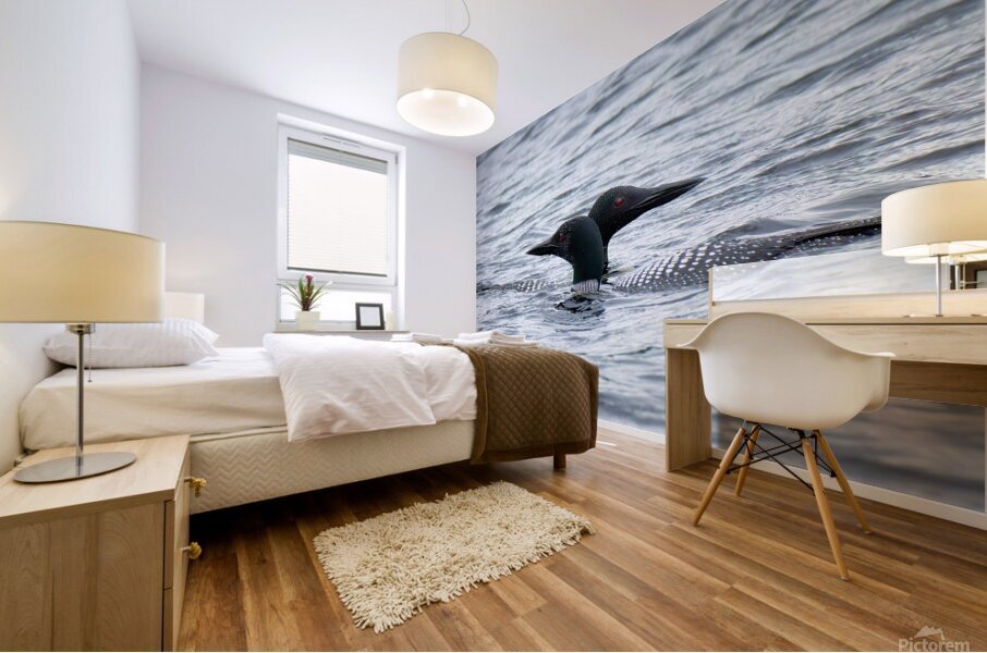 Bird Photography    Mural print