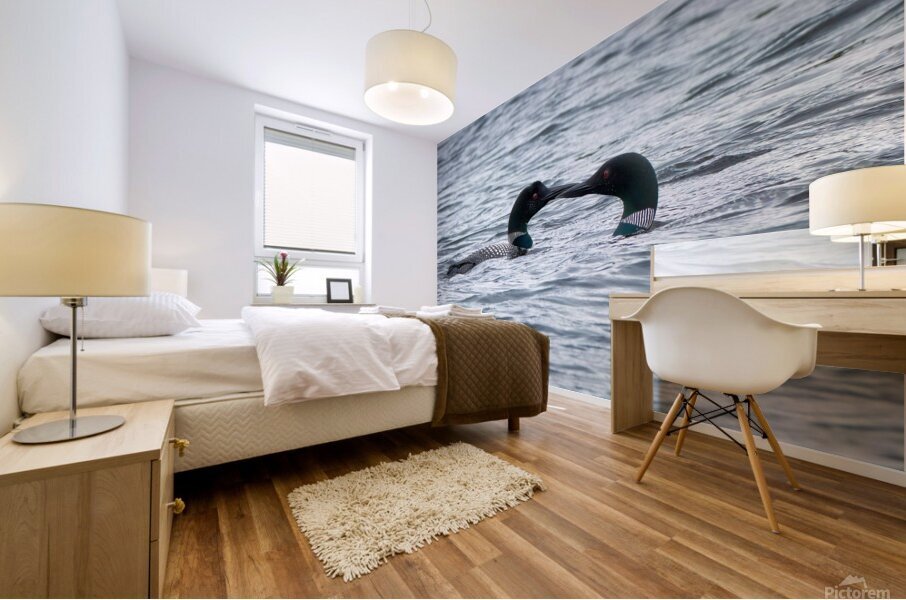 Bird Photography    Mural print