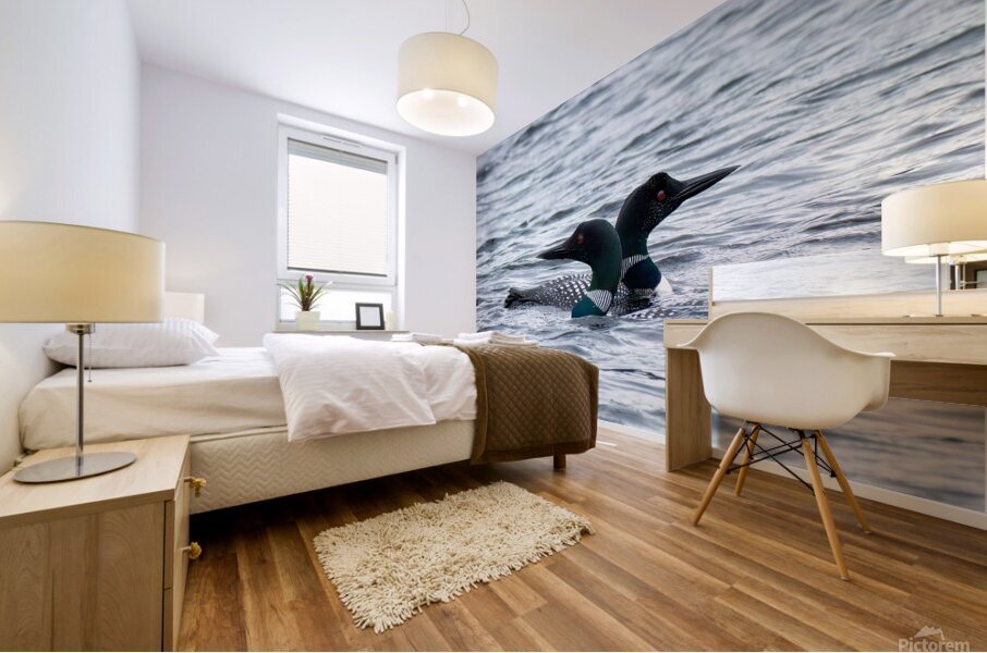 Bird Photography    Mural print