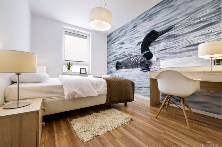 Bird Photography    Mural print