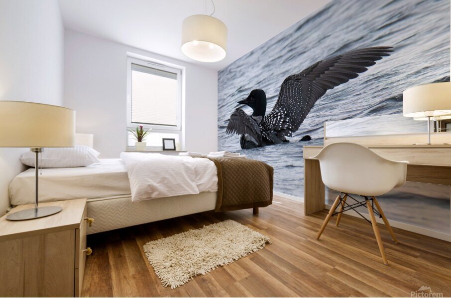 Bird Photography    Mural print