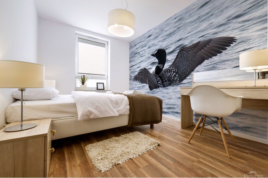 Bird Photography    Mural print